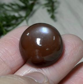 Pietra di luna naturale marrone da 26,22 ct, taglio rotondo, opaco