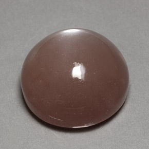 Pietra di luna naturale marrone da 24,70 ct, taglio rotondo, opaco