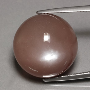 Pietra di luna naturale marrone da 24,70 ct, taglio rotondo, opaco