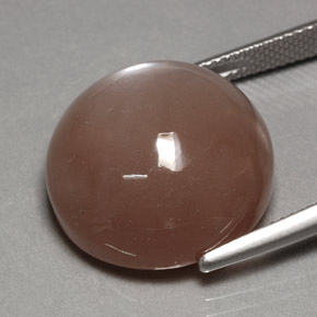 Pietra di luna naturale marrone da 24,70 ct, taglio rotondo, opaco