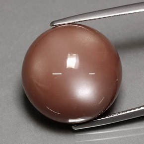 Pietra di luna naturale arancione da 24,39 ct, taglio rotondo, opaco