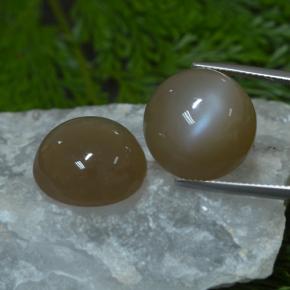 Pietra di luna naturale marrone da 33,03 ct, taglio rotondo, traslucido