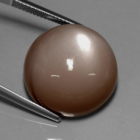 Pietra di luna naturale marrone da 33,72 ct, taglio rotondo, opaco
