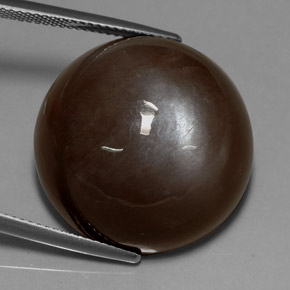 Pietra di luna naturale marrone da 37,22 ct, taglio rotondo, traslucido