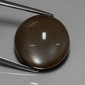 Pietra di luna naturale marrone da 32,10 ct, taglio rotondo, traslucido