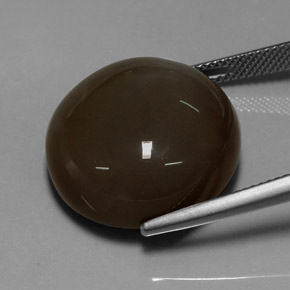 Pietra di luna naturale marrone da 32,10 ct, taglio rotondo, traslucido