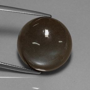 Pietra di luna naturale marrone da 23,55 ct, taglio rotondo, traslucido