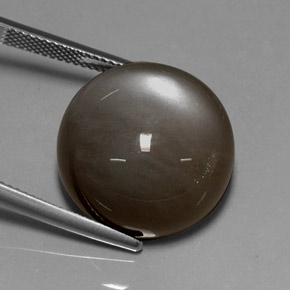 Pietra di luna naturale marrone da 29,60 ct, taglio rotondo, traslucido