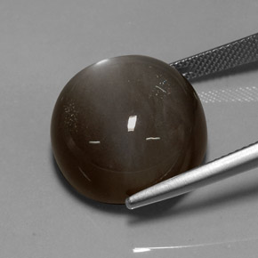 Pietra di luna naturale marrone da 29,60 ct, taglio rotondo, traslucido