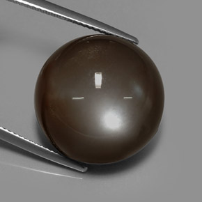 Pietra di luna naturale marrone da 30,64 ct, taglio rotondo, traslucido
