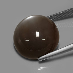 Pietra di luna naturale marrone da 30,64 ct, taglio rotondo, traslucido