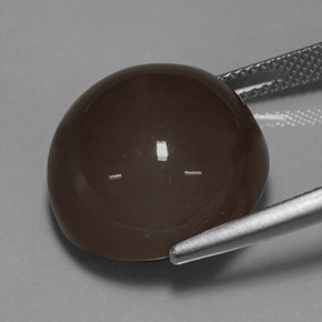 Pietra di luna naturale marrone da 21,32 ct, taglio rotondo, traslucido