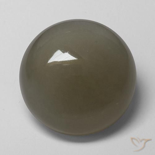 Pietra di luna Grigio Marrone naturale da 16.89 ct, Rotondo, Traslucido