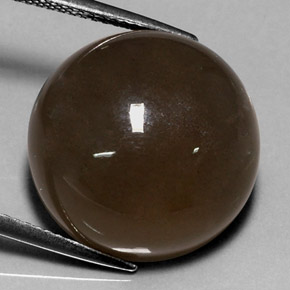 Pietra di luna naturale marrone da 18,40 ct, taglio rotondo, traslucido