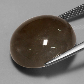 Pietra di luna naturale marrone da 18,40 ct, taglio rotondo, traslucido