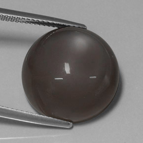 Pietra di luna naturale marrone da 19,43 ct, taglio rotondo, traslucido
