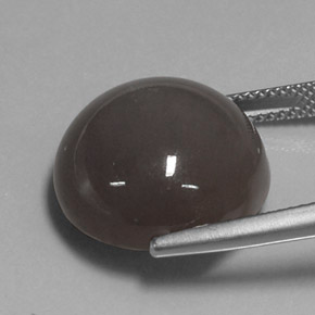 Pietra di luna naturale marrone da 19,43 ct, taglio rotondo, traslucido