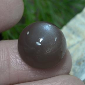 Pietra di luna naturale marrone da 12,26 ct, taglio rotondo, traslucido