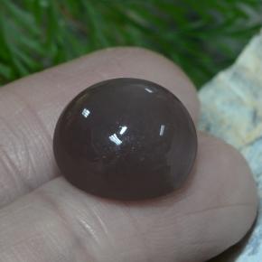 Pietra di luna naturale marrone da 12,26 ct, taglio rotondo, traslucido