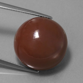 Pietra di luna naturale marrone da 20,66 ct, taglio rotondo, opaco