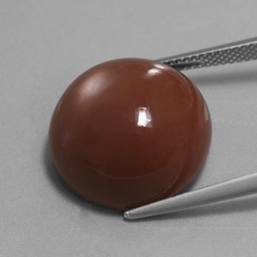 Pietra di luna naturale marrone da 20,66 ct, taglio rotondo, opaco