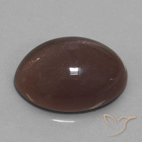 Pietra di luna Marrone medio naturale da 20.00 ct, Ovale, Opaco