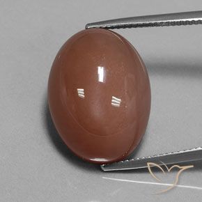 23.67ct Naturale Marrone medio Pietra di luna, Ovale, Opaco