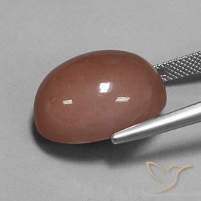 Pietra di luna Marrone medio naturale da 23.67 ct, Ovale, Opaco