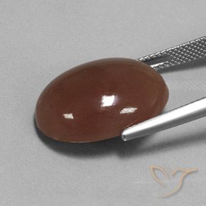 Pietra di luna Marrone medio naturale da 16.52 ct, Ovale, Traslucido