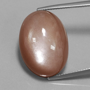 Pietra di luna naturale arancione da 26,52 ct, taglio ovale, opaco