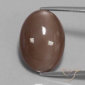 23.78ct Naturale Marrone medio Pietra di luna, Ovale, Opaco