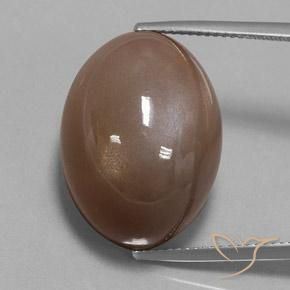 36.79ct Naturale Espresso Marrone Pietra di luna, Ovale, Opaco