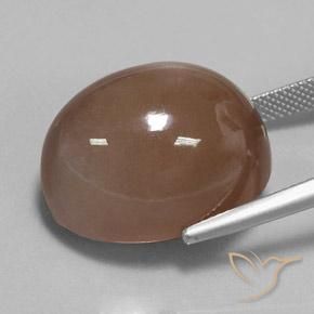 Pietra di luna Espresso Marrone naturale da 36.79 ct, Ovale, Opaco