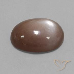 Pietra di luna Marrone medio naturale da 22.65 ct, Ovale, Opaco