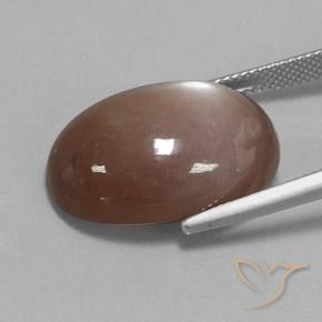 Pietra di luna Marrone medio naturale da 22.65 ct, Ovale, Opaco