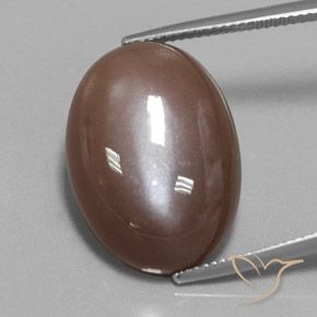 22.15ct Naturale Espresso Marrone Pietra di luna, Ovale, Opaco