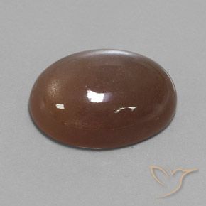 Pietra di luna Espresso Marrone naturale da 22.15 ct, Ovale, Opaco