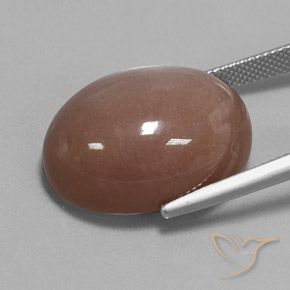 Pietra di luna Marrone naturale da 28.75 ct, Ovale, Opaco
