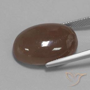 Pietra di luna Marrone medio naturale da 22.96 ct, Ovale, Opaco