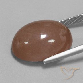 Pietra di luna Marrone medio naturale da 27.61 ct, Ovale, Opaco