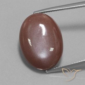 19.73ct Naturale Cannella Brown Pietra di luna, Ovale, Opaco