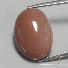 25.17ct Naturale Marrone caldo Pietra di luna, Ovale, Opaco