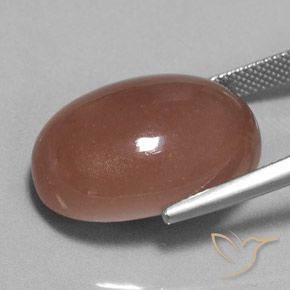 Pietra di luna Marrone caldo naturale da 25.17 ct, Ovale, Opaco