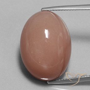 31.34ct Naturale Marrone Chiaro Cannella Pietra di luna, Ovale, Opaco