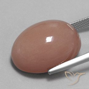 Pietra di luna Marrone Chiaro Cannella naturale da 31.34 ct, Ovale, Opaco