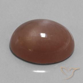 Pietra di luna Marrone naturale da 25.38 ct, Ovale, Opaco