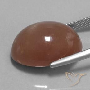 Pietra di luna Marrone naturale da 25.38 ct, Ovale, Opaco