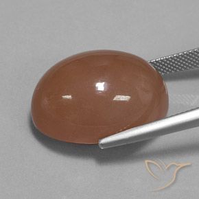 Pietra di luna Marrone naturale da 30.83 ct, Ovale, Opaco
