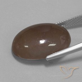 Pietra di luna Marrone medio naturale da 22.19 ct, Ovale, Opaco