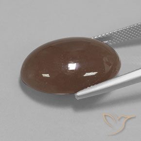 Pietra di luna Marrone medio naturale da 20.61 ct, Ovale, Opaco